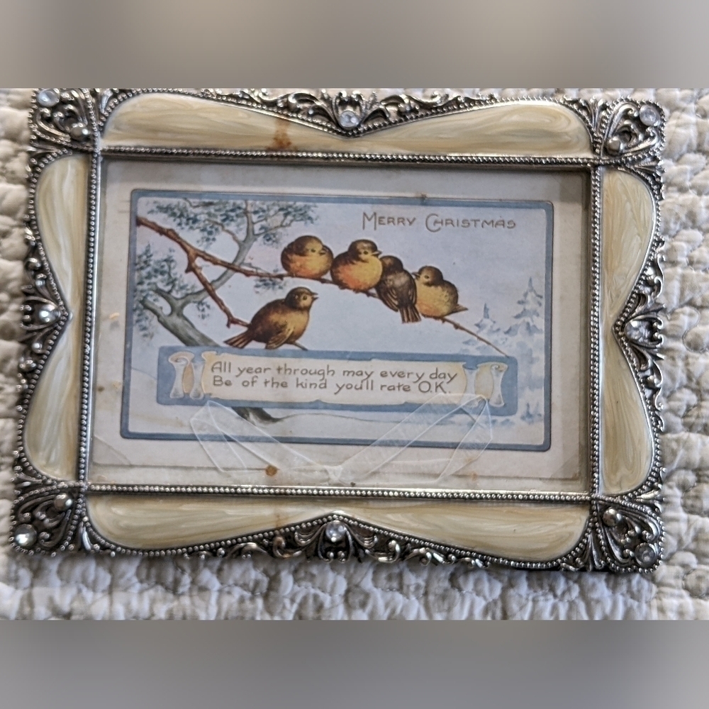 𝅺vintage Postcard Birds Framed
